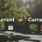 Current or Currant