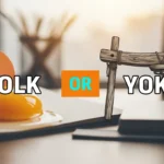 Yolk or Yoke