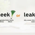 leek or leak
